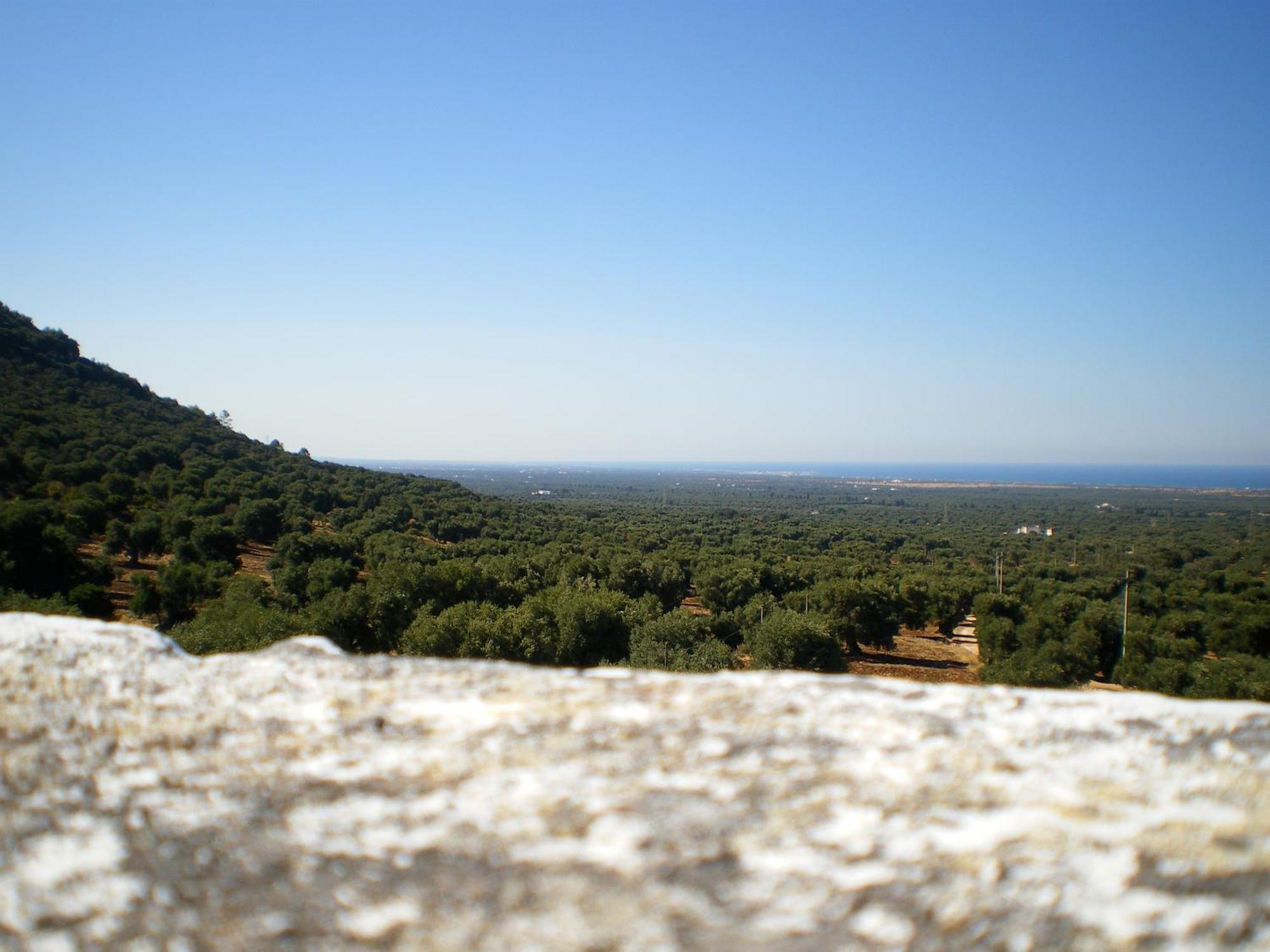 Masseria Morrone Ostuni Zewnętrze zdjęcie