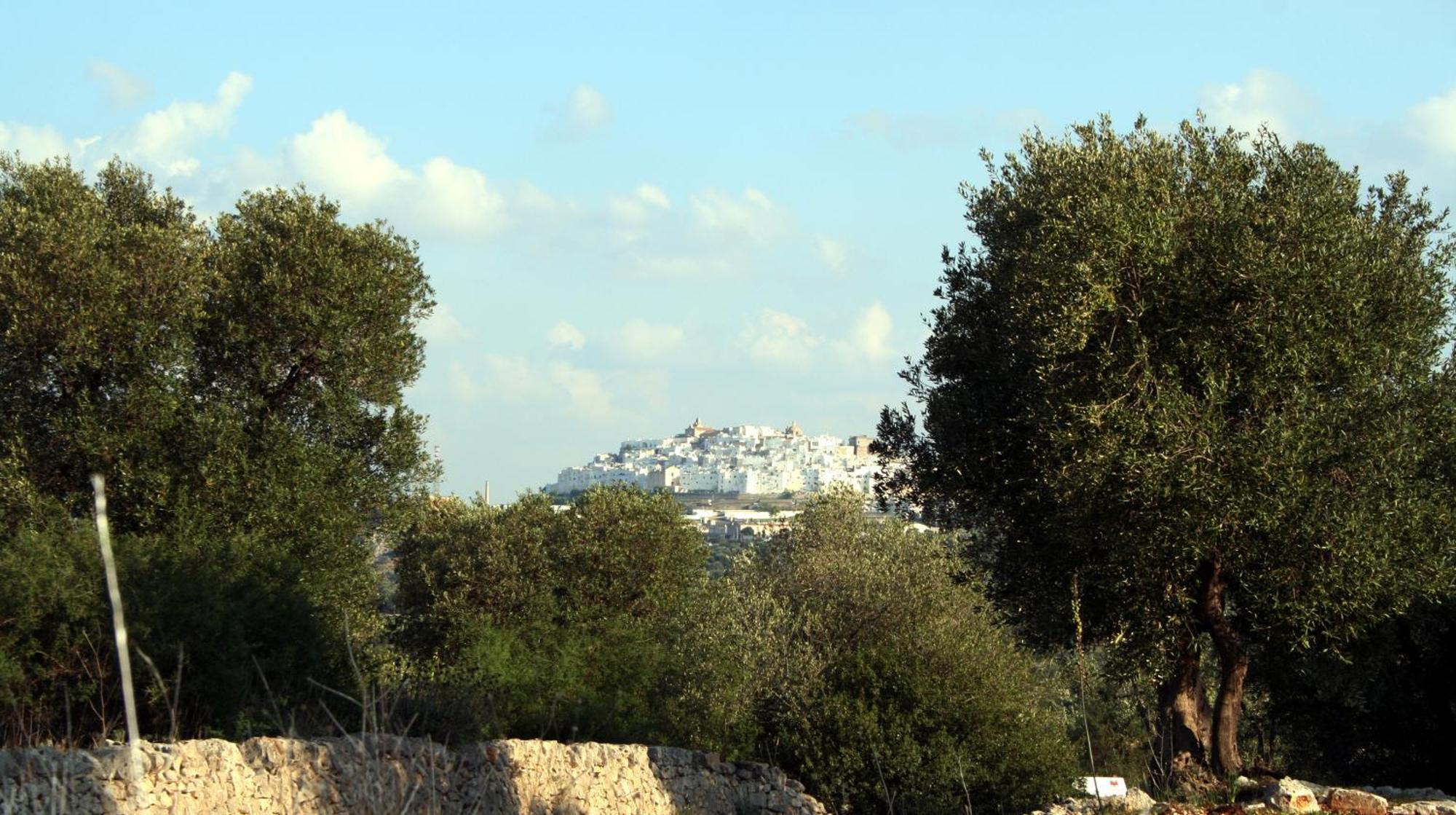 Masseria Morrone Ostuni Zewnętrze zdjęcie